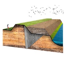 Reforzamiento Est&aacute;tico