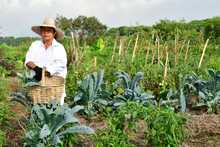 Cali recibe obras de reforzamiento en en m&aacute;s de 11 kil&oacute;metros del jarill&oacute;n