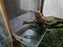 Nuevo golpe a la tenencia y tr&aacute;fico de fauna en Cali