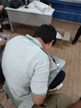 Alcald&iacute;a de Cali avanza en construcci&oacute;n de Pol&iacute;tica P&uacute;blica Interespecie