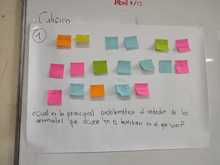 Alcald&iacute;a de Cali avanza en construcci&oacute;n de Pol&iacute;tica P&uacute;blica Interespecie