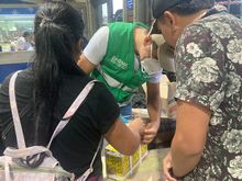 Incrementan acciones de control para proteger la palma de cera