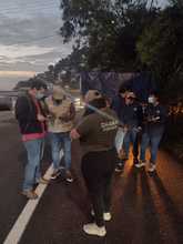 Incrementan acciones de control para proteger la palma de cera