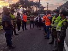 Incrementan acciones de control para proteger la palma de cera