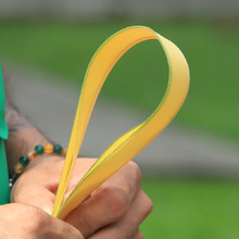 El Dagma realiza controles para proteger la Palma de Cera