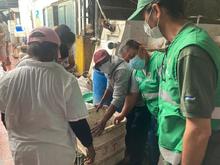 Positivo balance de control al tr&aacute;fico de especies en Semana Santa