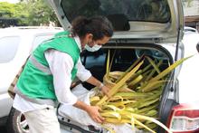 Positivo balance de control al tr&aacute;fico de especies en Semana Santa