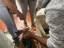 Positivo balance de control al tr&aacute;fico de especies en Semana Santa