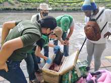 Positivo balance de control al tr&aacute;fico de especies en Semana Santa