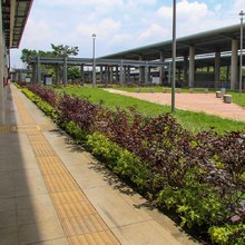 Avanzan obras de construcci&oacute;n del MIO en Troncal de Oriente y terminal de Aguablanca