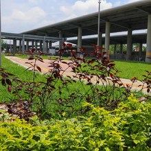 Avanzan obras de construcci&oacute;n del MIO en Troncal de Oriente y terminal de Aguablanca