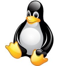 imagenlinux
