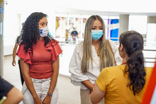 IPC lanza sus publicaciones en alianza con la Red de Bibliotecas