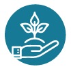 iconos