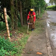 &ldquo;Hemos ejecutado en las zonas rurales $7.753 millones, una inversi&oacute;n que no se hab&iacute;a hecho en mucho tiempo&rdquo; N&eacute;stor Mart&iacute;nez Sandoval