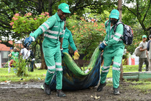 1480 toneladas de residuos se recogieron durante primer d&iacute;a del plan de choque para limpiar a Cali