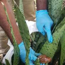 Servicios ambientales, otro aporte de la estrategia &lsquo;Gobierno al Barrio&rsquo; que lleg&oacute; hasta Floralia