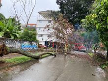 Sea un observador del riesgo y permanezca atento durante la temporada de lluvias