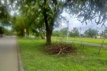 Con plan de choque, Cali luce espacios p&uacute;blicos m&aacute;s limpios 