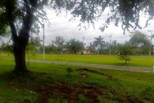 Con plan de choque, Cali luce espacios p&uacute;blicos m&aacute;s limpios 