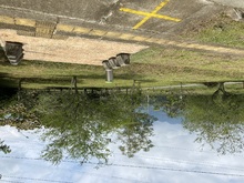 Nuevo pulm&oacute;n verde en la zona rural de Cali