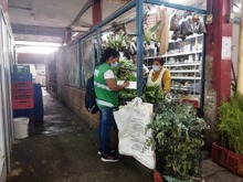 Plan de Choque para mantener limpia la ciudad