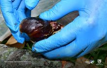 El Parque del perro ser&aacute; el epicentro de &lsquo;Dagma en tu comuna&rsquo;