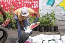 Con murales y siembra de &aacute;rboles, se embelleci&oacute; punto impactada por arrojo de residuos 