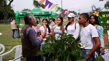 DAGMA cierra mes de abril con actividades en las comunas de Cali