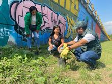 Jornada de embellecimiento se tom&oacute; el sector de La Luna 