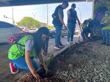 Jornada de embellecimiento se tom&oacute; el sector de La Luna 