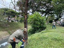 &lsquo;Gobierno al Barrio&rsquo; lleg&oacute; con acciones ambientales a Marroqu&iacute;n II