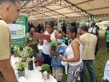 &lsquo;Gobierno al Barrio&rsquo; lleg&oacute; con acciones ambientales a Marroqu&iacute;n II