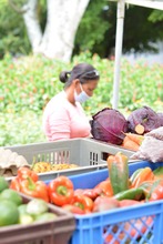 Desde el viernes regresan nuestros mercados campesinos con la mejor oferta org&aacute;nica y natural