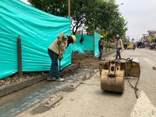 Recuperan ambientalmente separadores viales