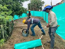 Recuperan ambientalmente separadores viales