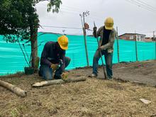 Recuperan ambientalmente separadores viales