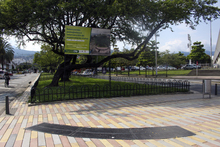 Proyecto de adecuación paisajística y mejoramiento funcional de separadores viales de la Carrera 39