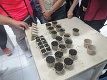 Inici&oacute; Ciclo de Nivelaci&oacute;n de Huertas Org&aacute;nicas con habitantes de la comuna 3