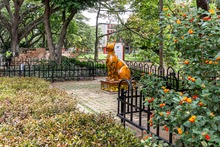 Bulevar del R&iacute;o, sitio de encuentro favorito para propios y visitantes