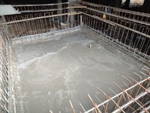 Obra del Centro de Bienestar Animal avanza en un 56%