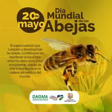 &iexcl;Mosca con las abejas&iexcl;