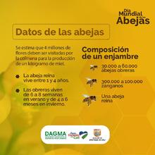 &iexcl;Mosca con las abejas&iexcl;
