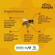 &iexcl;Mosca con las abejas&iexcl;