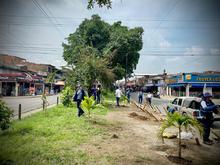 Alcald&iacute;a y comunidad se unieron para recuperar separador vial impactado por residuos