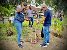 Alcald&iacute;a y comunidad se unieron para recuperar separador vial impactado por residuos