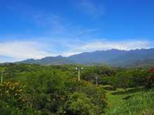 Parque Ambiental Coraz&oacute;n de Pance, protecci&oacute;n de la diversidad biol&oacute;gica