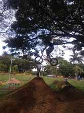 La emoci&oacute;n del deporte y la medaller&iacute;a se vivi&oacute; en la comuna 5