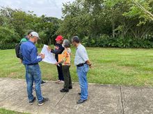 Nuevas zonas de cesi&oacute;n en Pance reverdecen nuestra ciudad 