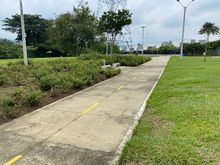 Nuevas zonas de cesi&oacute;n en Pance reverdecen nuestra ciudad 